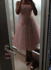 Blush Pink Tube Dress