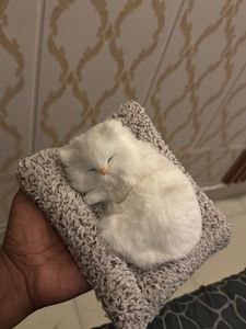 Cute Sleeping Cat Toy