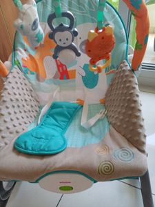 Portable Baby Rocker