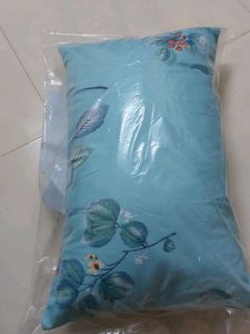 1 New Pillow
