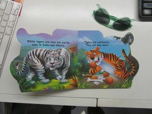 Who Am I - Tiger, Board Book With Cutout Pages