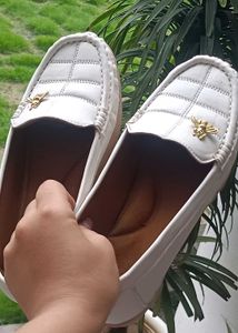 Elegant Embroidered Suit Set