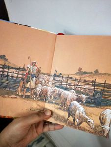 BIBLE PICTURE BOOK