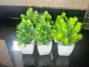 Miniature Artificial Plants (Set of 3)