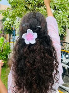 Flower Hair Clip🌺
