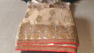 Regal Beige Saree Zardosi and Black Net Accents