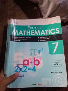 Excel in Mathematics - Grade 7