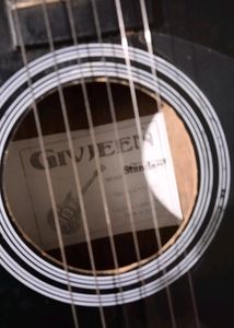Guitar 🎸🎶🎶🎶🎶jivjeen