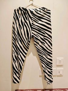 Zebra Print Pants