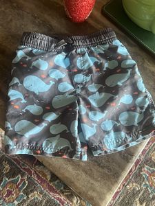 carter's USA Swimming trunks