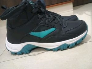 New Shoes Casual
