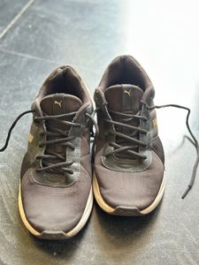 Original Puma Rose Metallic Shoes