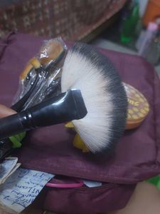 Oval Makeup Brush Set