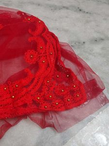 Red Net Saree Beautiful