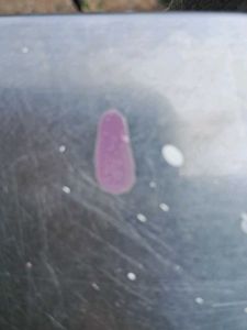 Little Used Lavender Nail Paint