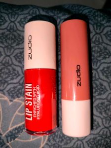 Zudio Lipsticks Bundle