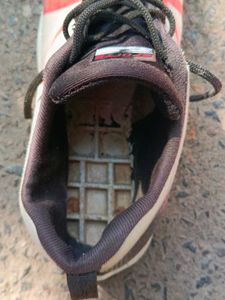 Nike Running Shoes