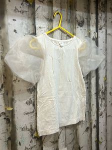 Baby Pink Zara Organza Sleeves Top