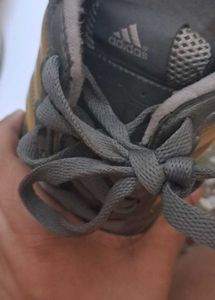ADIDAS Sports Shoes