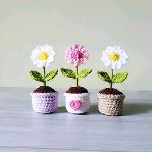 Daisy flower pot table decor