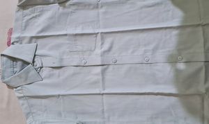 Light Grey Formal Shirt