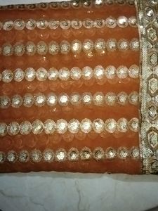 A Beautiful Party Wear Saree