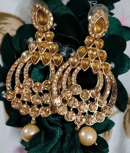 Elegant Golden Earrings