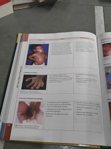 IAP Color Atlas of Pediatrics