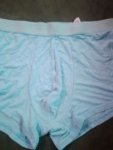 Calvin Klein Blue Trunk