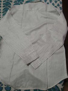 Mens Shirt