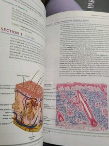 diFiore&#39;s Atlas of Histology