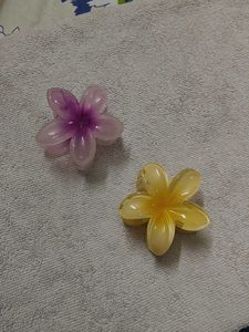 Flower Hair Claw Clip Set