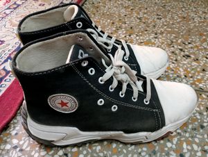 Brand New Shoes