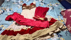 Elegant Anarkali Dress