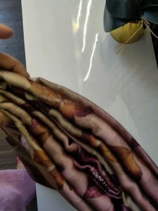 Leaf Print Saree