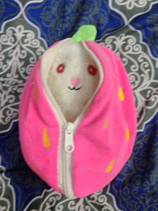 Cute Bunny Plush Toy