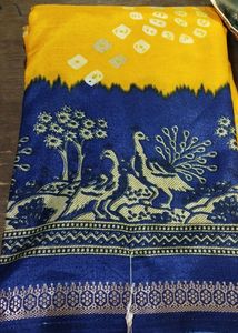 Beautiful woman Saree
