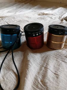 Speaker