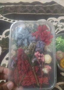NEW DRY FLOWERS FOR RESIN ART