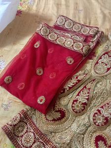 Elegant Embroidered Lehenga Choli Set