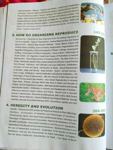 CBSE Class 10 Biology Book By S Chand