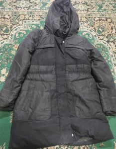 Winter Jacket