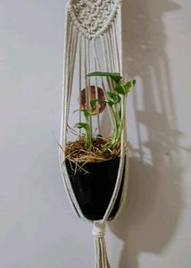 Wall Hanging
