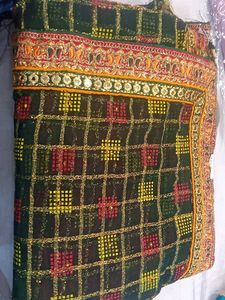 Elegant Checked Saree