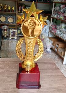 Star Trophy 🏆