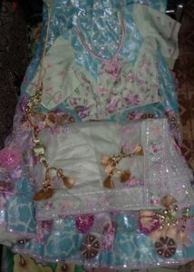 Embroidered Lehenga Skirt