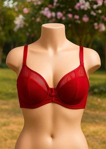 🇳🇿💫💕 Imported Red Bra