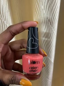 Plum Color Affair Nail Polish