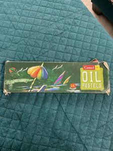 Camel oil pastels for coins