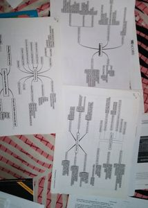 UPSC OMR sheets for practice, IIndian physical and political maps for practice, GS score UPSC syllabus in flowchart.